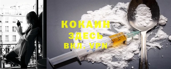 дживик Баксан