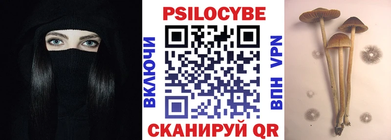 Галлюциногенные грибы Psilocybine cubensis  Североморск 